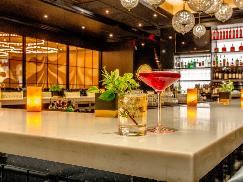 Hotel, bar and restaurant singer